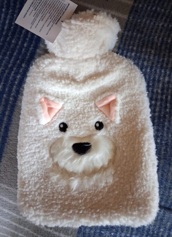 Hot water bottle