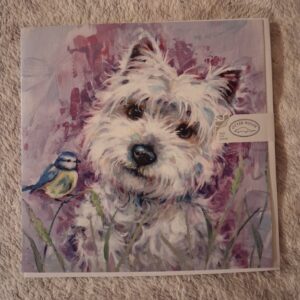 Blank greetings card